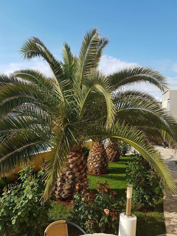 Apartments Vila Ana Вир Экстерьер фото